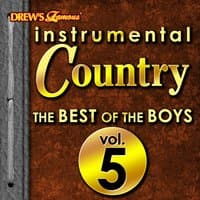 Instrumental Country: The Best of the Boys, Vol. 5