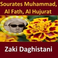 Sourates Muhammad, Al Fath, Al Hujurat