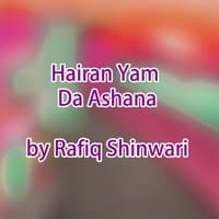 Hairan Yam Da Ashana