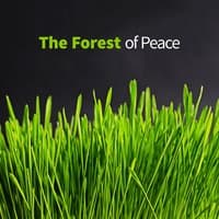 The Forest of Peace