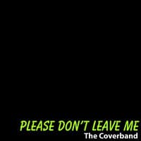 Please Don't Leave Me - Single