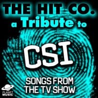 A Tribute to Csi: Songs from the Tv Show