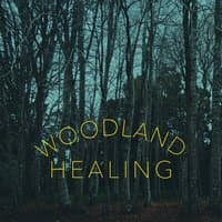 Woodland Healing