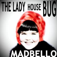 The Lady House Bug