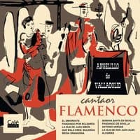 Cantaor Flamenco