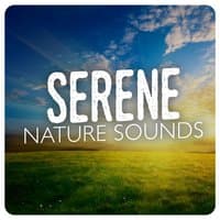 Serene Nature Sounds