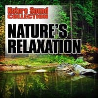 Nature's Relaxation (Nature Sounds)