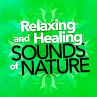 Relaxing and Healing Sounds of Nature