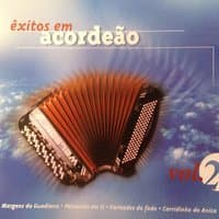 Exitos em Acordeão, Vol. 2