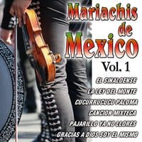 Mariachis De México Vol. 1