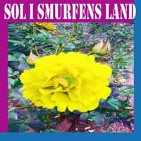 Sol i Smurfens Land