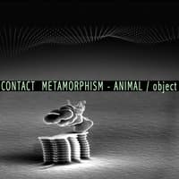 Contact Metamorphism