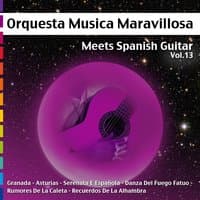 Meets Spanish Guitar, Vol.13