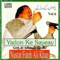 Yadon Ke Sayeay Vol. 6