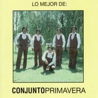 Lo Mejor De Conjunto Primavera