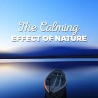 The Calming Effect of Nature