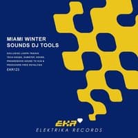 Miami Winter Sounds DJ Tools