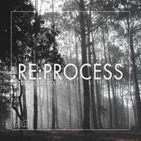 Re:Process