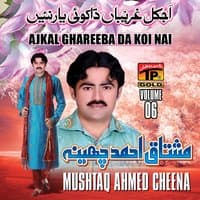 Ajkal Ghareeba da Koi Nai, Vol. 06