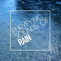 Purifying Sounds of Rain