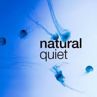 Natural Quiet