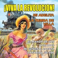 Viva la Revolucion