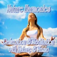 Nature Harmonies: Relaxation and Meditation with Music and Nature