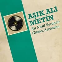 Bu Nasıl Sevdadır Gitmez Serimden