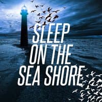 Sleep on the Sea Shore