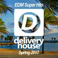 EDM Super Hits (Spring 2017)