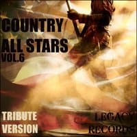 Country Allstars, Vol. 6