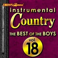 Instrumental Country: The Best of the Boys, Vol. 18