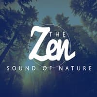 The Zen Sound of Nature