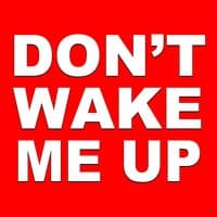 Don't Wake Me Up