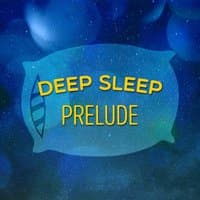 Deep Sleep Prelude