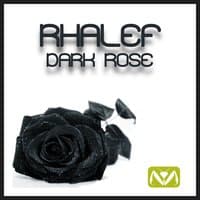 Dark Rose