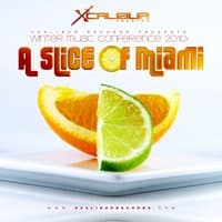 Xcalibur Records Presents Winter Music Conference 2010 - A Slice of Miami