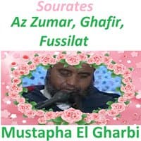 Sourates Az Zumar, Ghafir, Fussilat