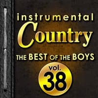 Instrumental Country: The Best of the Boys, Vol. 38