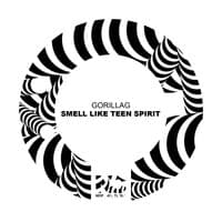 Smell Like Teen Spirit