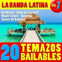 20 Temazos Bailables  Vol. 7