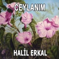 Ceylanım