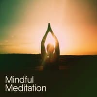 Mindful Meditation