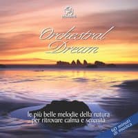 Orchestral Dream