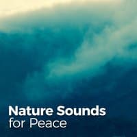 Nature Sounds for Peace