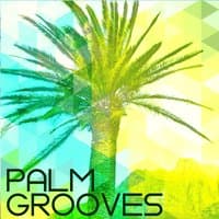 Palm Grooves, Vol. 1