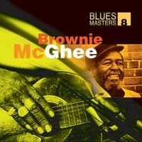 Blues Masters Vol. 8