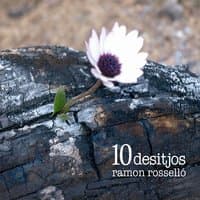 10 Desitjos