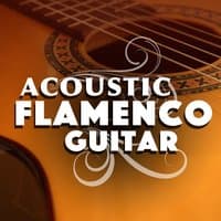 Acoustic Flamenco Guitar