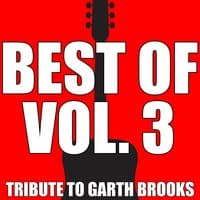 Best of, Volume 3, Tribute to Garth Brooks Greatest Hits